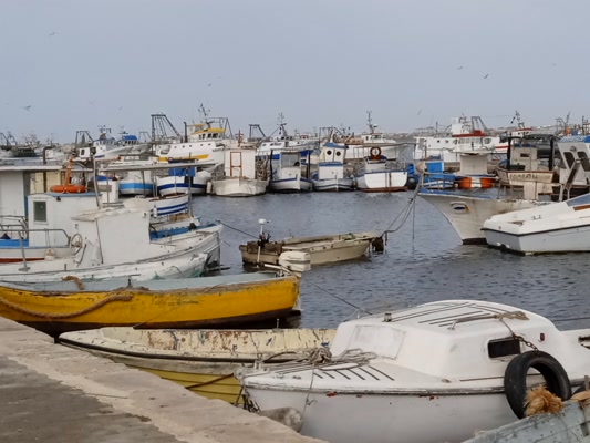 Titolo: Portopalo img