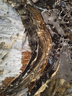 Titolo: Kiefer - Venezia 2022/ img