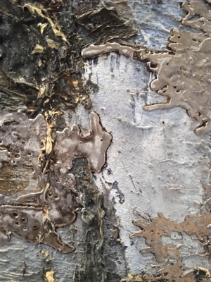 Titolo: Kiefer - Venezia 2022/3 img